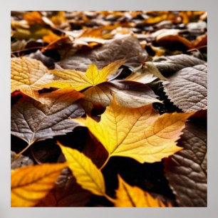Belles feuilles d'automne au sol 4 affiche