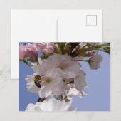 Belles fleurs avec do-it-yourself carte postale (Devant / Derrière)