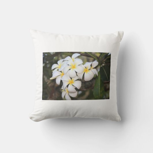 Belles fleurs blanches, Plumeria, coussin (Recto)