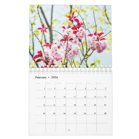 Belles FLEURS Calendrier de 12 mois (Feb 2026)