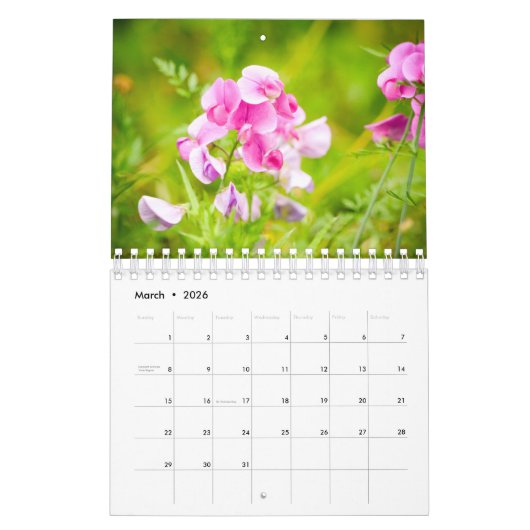 Belles FLEURS Calendrier de 12 mois (Mar 2026)