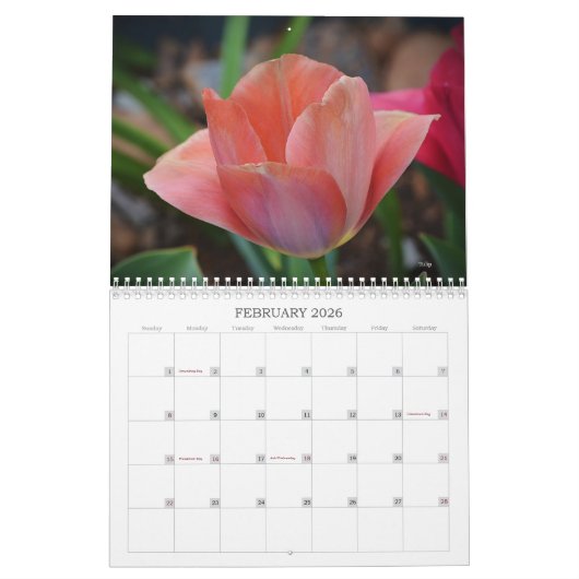 Belles Fleurs Calendrier Floral (Feb 2026)