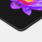 Belles fleurs de lotus sur fond noir (Coin)