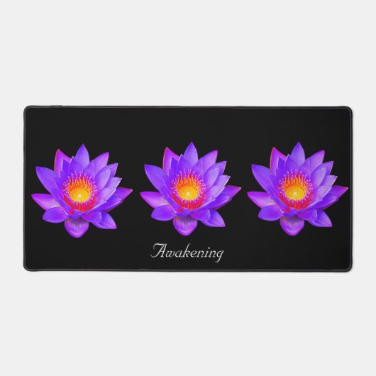 Belles fleurs de lotus sur fond noir (Recto)
