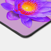 Belles fleurs de lotus sur violet (Coin)