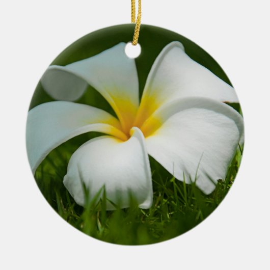 Belles fleurs Gros plan - Ornements (Devant)