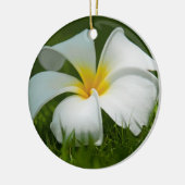 Belles fleurs Gros plan - Ornements (Gauche)