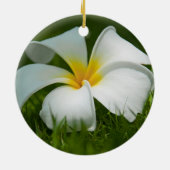 Belles fleurs Gros plan - Ornements (Dos)