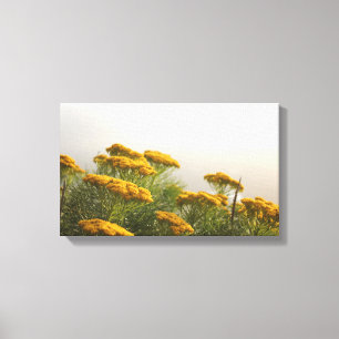 Belles Fleurs Jaunes Impression en toile étirée