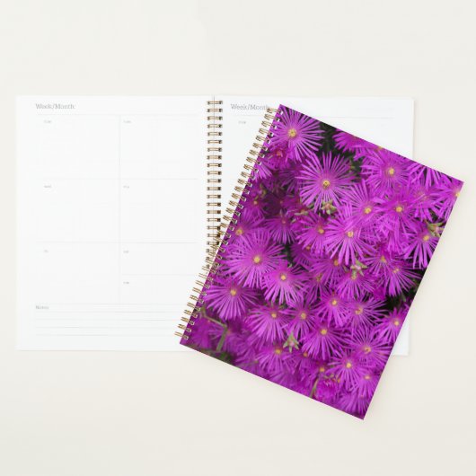 Belles fleurs roses roses roses (Devant avec enveloppe)