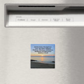 BELLES FRUITS DE LEVER DE LA MAGNET D'ESPRIT (In Situ (Lave-vaisselle))