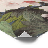 Belles impressions photomécaniques des fleurs de p (Coin)