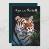 Belles invitations de tigre (Devant / Derrière)