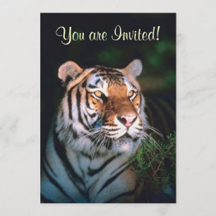 Belles invitations de tigre