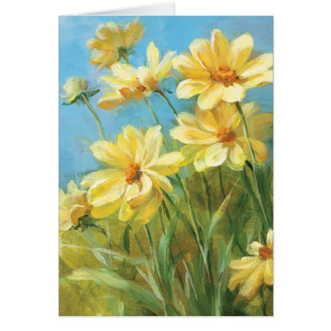 Belles marguerites jaunes (Devant)