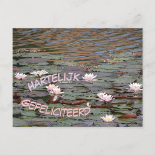 Belles nappes d'eau Gefeliciteerd Carte postale