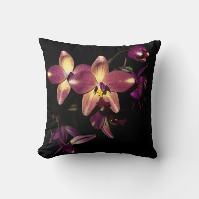 Belles Orchidées Lancer Oreiller (Recto)