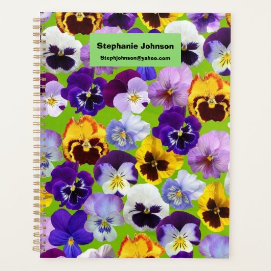 Belles Pansies de Printemps (Devant)