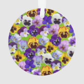 Belles Pansies de Printemps (dos)