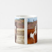 Belles tasses de cheval de peinture (Centre)