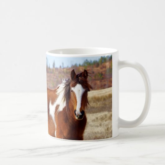 Belles tasses de cheval de peinture (Droite)