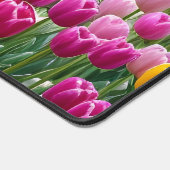 Belles tulipes (Coin)