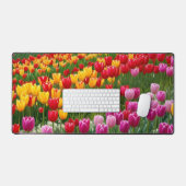 Belles tulipes (Clavier et souris)