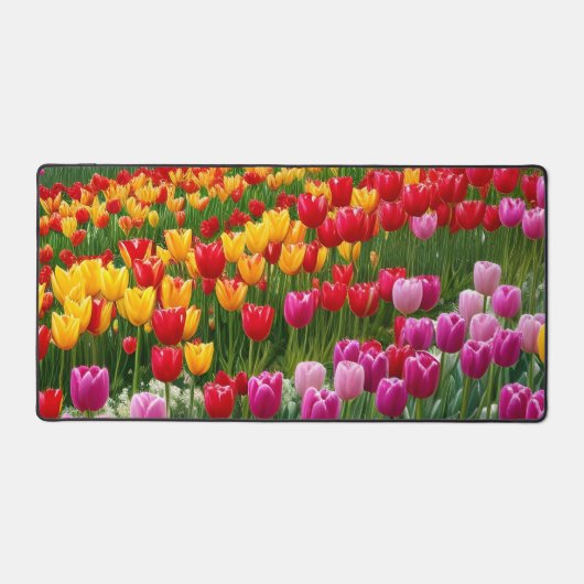 Belles tulipes (Recto)