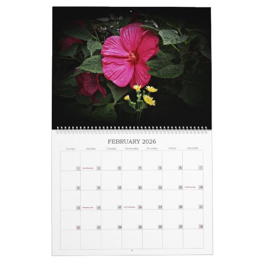 Belles Visions Grand Mur Calendrier 2024 (Feb 2026)