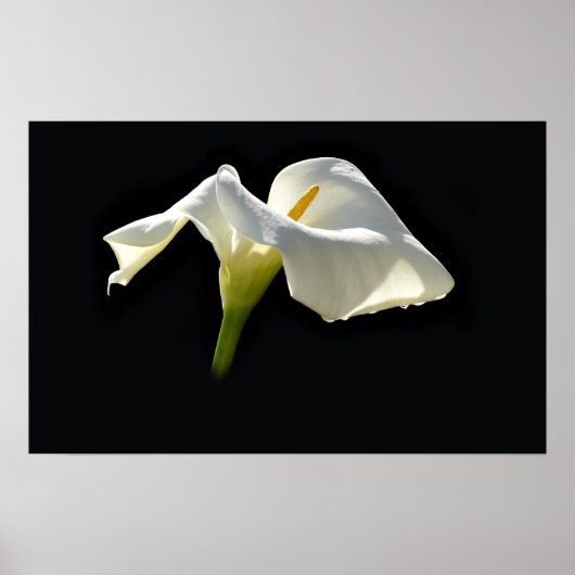 belletje poster (Voorkant)