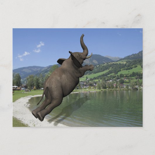 Belly Flop Elephant Briefkaart (Voorkant)