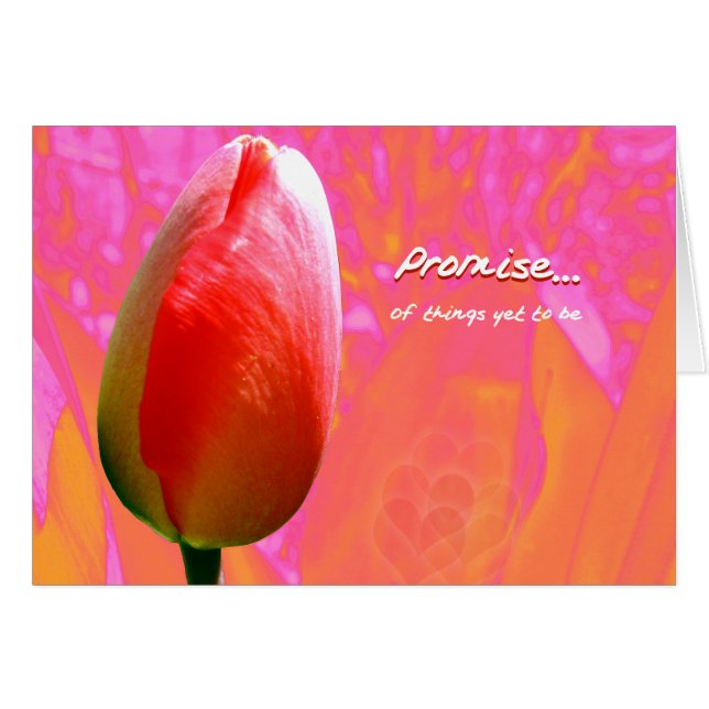 Beloften II (Voorkant Horizontaal)