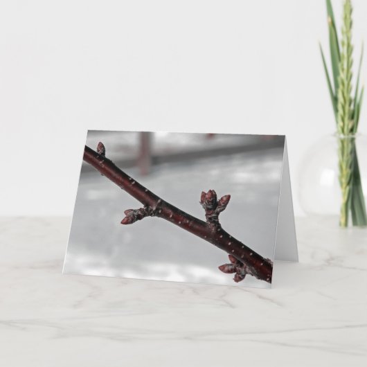 Beloften van het voorjaar kaart (Voorkant)