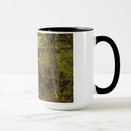 Beloved Buck. Mok (Rechts)