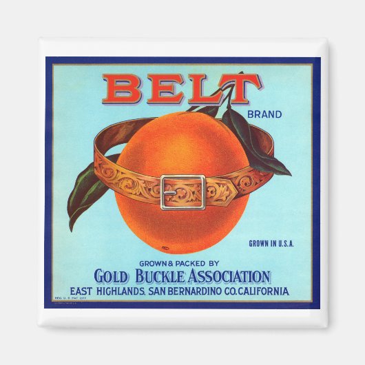Belt Brand California Sinaasappels Magneet (Voorkant)