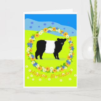 Belted Galloway calf birthday card Feestdagen Kaart