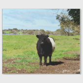 Belted Galloway Koe Cadeaupapier (Vlak)