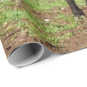 Belted Galloway Koe Cadeaupapier (Rol Hoek)