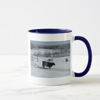 Belted Galloway Koe in a Beauful Snowy Landscape Mok