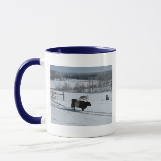 Belted Galloway Koe in a Beauful Snowy Landscape Mok (Links)
