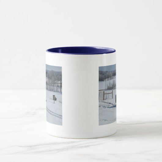 Belted Galloway Koe in a Beauful Snowy Landscape Mok (Midden)