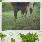 Belted Galloway Koe Theedoek (Gevouwen)