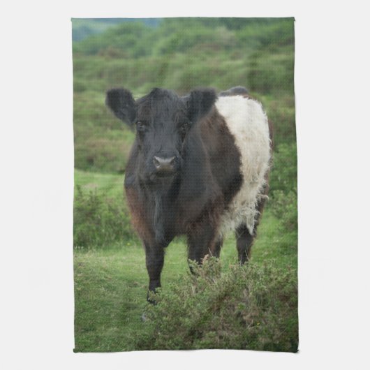 Belted Galloway Koe Theedoek (Verticaal)