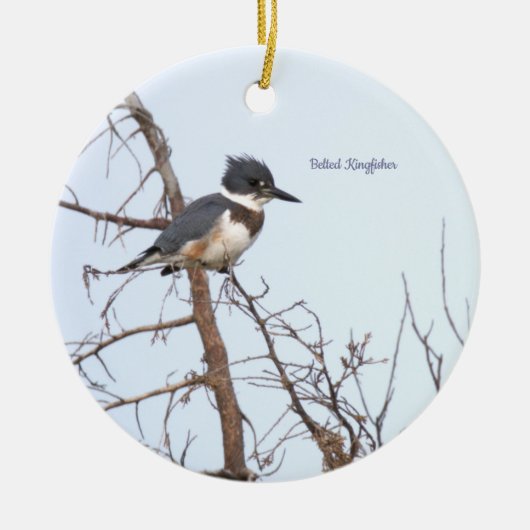 Belted Kingfisher Bird Ornament (Voorkant)