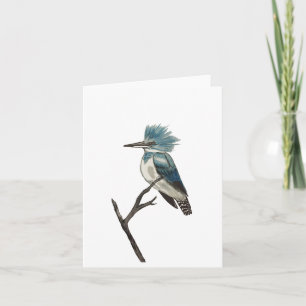 Belted Kingfisher Folded Note Card Kaart