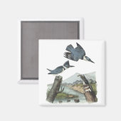 Belted Kingfisher, John Audubon Magneet (Voorkant / Achterkant)
