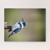 Belted Kingfisher Legpuzzel (Horizontaal)