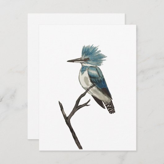 Belted Kingfisher Note Card Notitiekaartje (Voorkant / Achterkant)