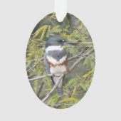 Belted Kingfisher Ornament (achterkant)