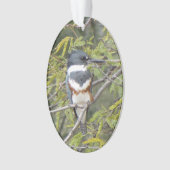 Belted Kingfisher Ornament (voorkant)